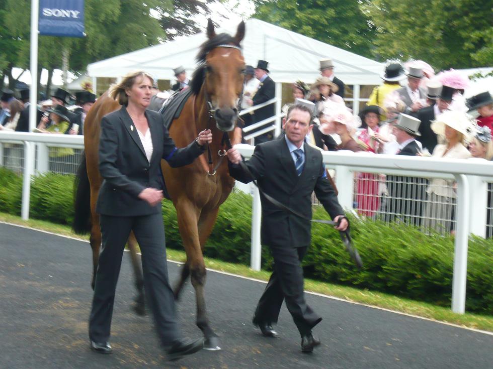 Pinpoint Royal Ascot 2008  1  30 x 30