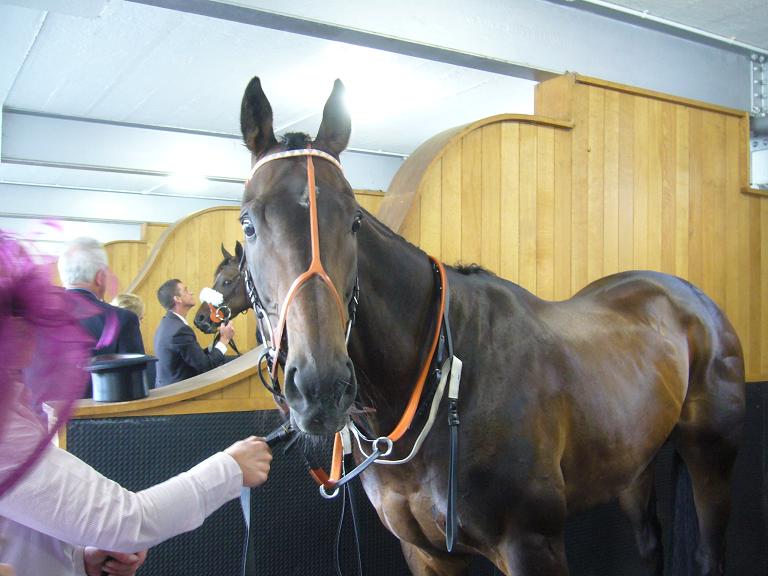 Something Royal Ascot 2009  1  30x 30